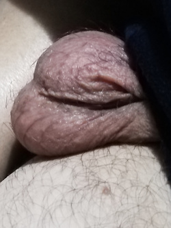 Appena Sveglio Parte Foto Porno Amaporn