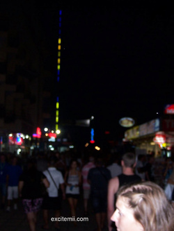 Foto di una porca di Miami