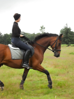 Marco e Simona coppietta esibizionista di Venezia