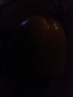 Disponibile per incontri di puro sesso