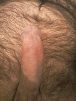 Vorrei a ogni attimo