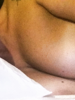 Una bella porcellina