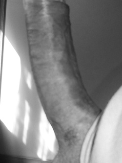 Sempre il mio cazzo Parte 2