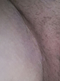 Sempre la mia porcella