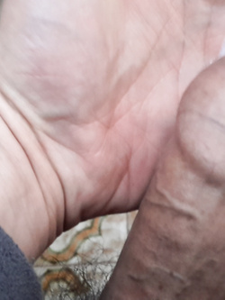 varie uccello voglioso di pussy