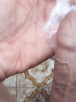 varie uccello voglioso di pussy