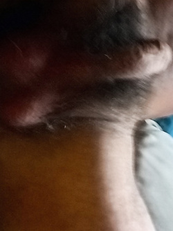 Tutte le mattine scatto una foto al mio cazzo