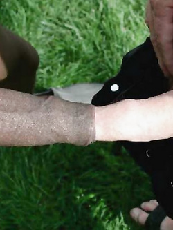 CAZZI GROSSI La mia passione. ...