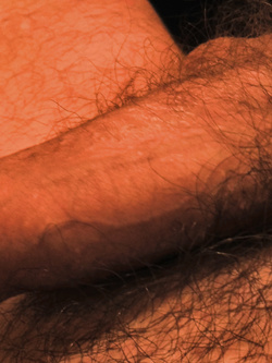 Un bel cazzo normodotato in erezione