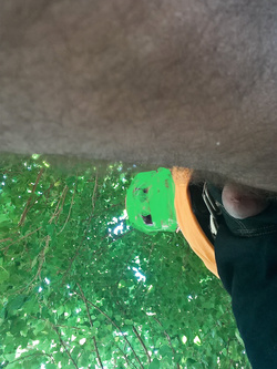 L'albero a cui tendevi la pargoletta mano