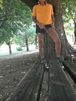 L'albero a cui tendevi la pargoletta mano