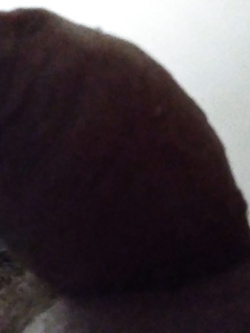 Amico bisex voglioso di cazzo o di coppia in cerca di bull