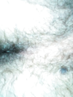 Amico bisex si offre per fare da bull o la troia