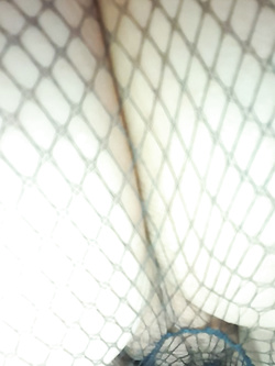 Calze a rete Parte 3