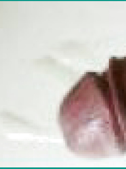 Il mio cazzo Parte 166