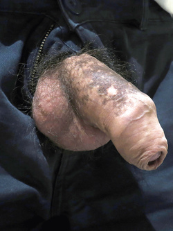 Il mio cazzo Parte 216