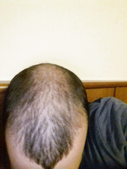 Un paio di foto a caso Bolzano Trento