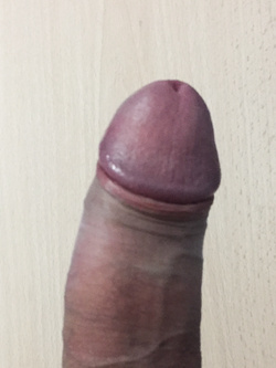 Il mio caro fratello