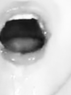 Vienimi sempre in bocca... dopo che mi hai inculato!