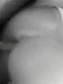 Cavalcando a pecorina