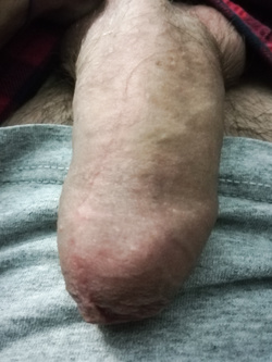 Interessanti primi piani...