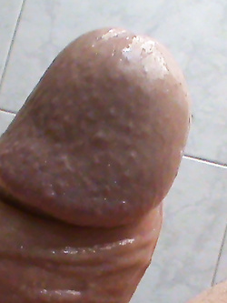 Cazzo sempre eccitato