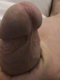 Cazzo sempre eccitato