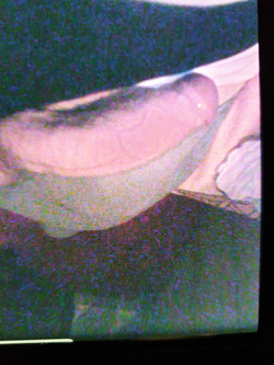 Ciaoooo a tutteee Parte 2