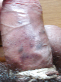 una piccola parte di quel che potete fare