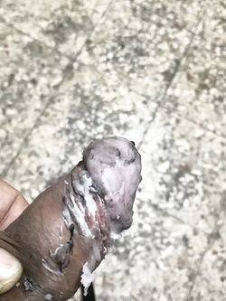 una piccola parte di quel che potete fare