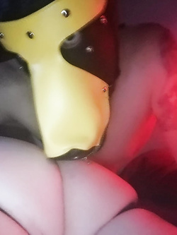 UNA SERATA DA "CANI" ^_^