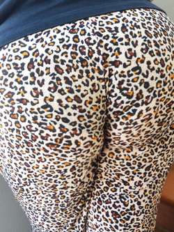 La mia porca Parte 2