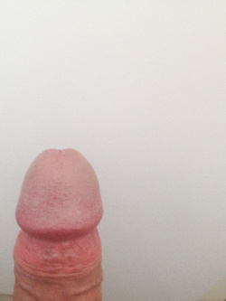 Presentazione Parte 4