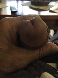 Il mio uccello per voi