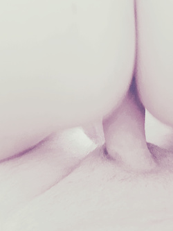 Tutta per voi porcellini