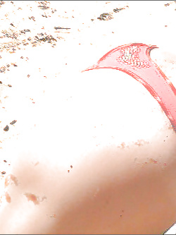 Anna puttanella al mare