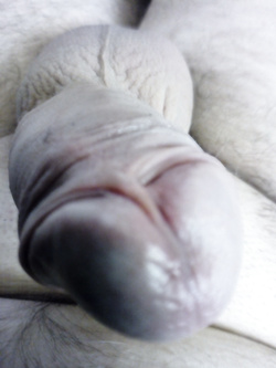 Bisexual îmi place pula