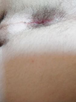 Cazzo e culo tutto per voi