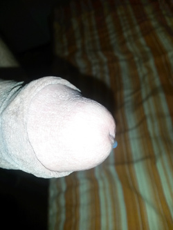 Cazzone sempre lui maggio 2019