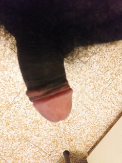 AUTOEROTISMO DELLA DOMENICA