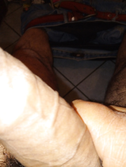 Il mio uccello a riposo