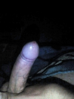 La mia Minkia per voi 