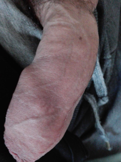 Il mio giocattolino Parte 2