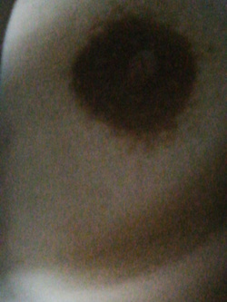 La mia porca Parte 6