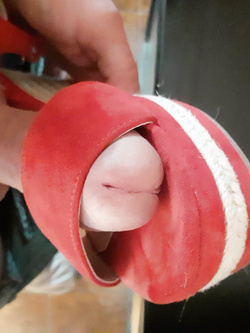 Le scape di mia moglie