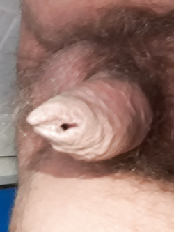 Vogliosamente arrapato