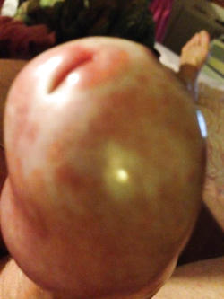 Esibizionista incallito