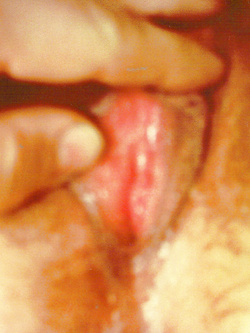 Piscia, pelo e tanta fantasia