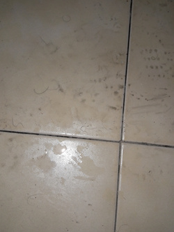 Lui porcone io ancora di più