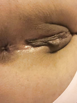 La mia cagna esibizionista